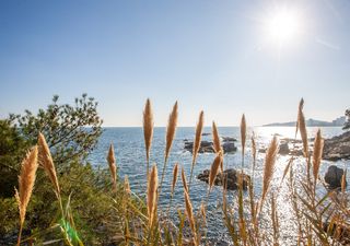 Una irrupción de aire subtropical traerá calor de récord esta semana