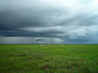 El alivio de las lluvias