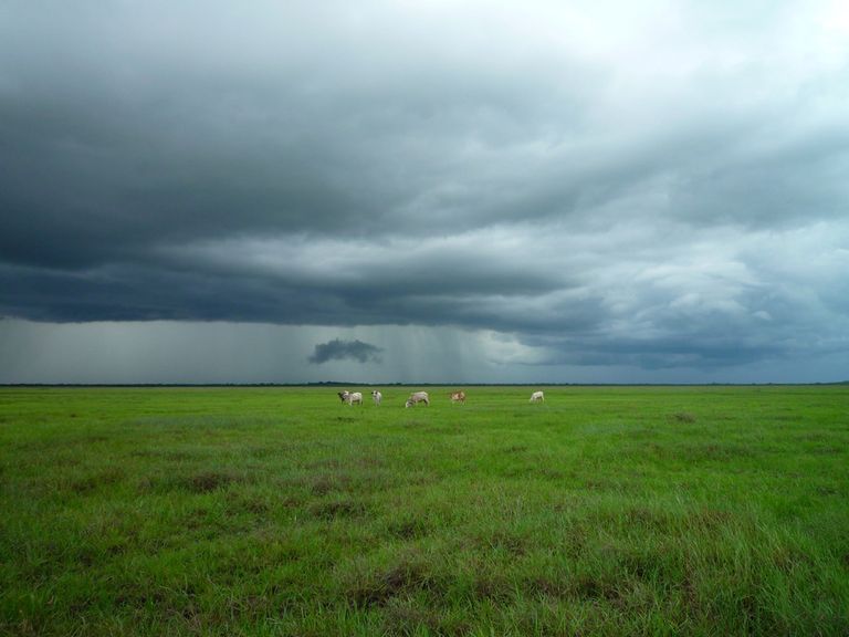 lluvia, sequía, heladas, humedad lluvia, sequía, heladas, humedad