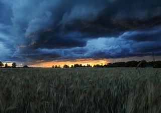 El alivio de las lluvias en un momento clave