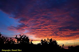 El amanecer que me hizo parar (Marbella)