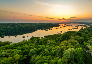 El Amazonas podría enfrentarse a una sequía sin precedentes debido a cambios en el Atlántico, avisan unos climatólogos