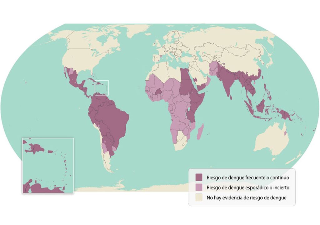 Mapa dengue Mapa dengue