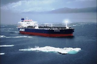 El Año de la Predicción Polar
