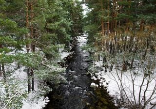 El antiguo refranero espa&ntilde;ol hace sus pron&oacute;sticos para 2026 a partir del tiempo de estos d&iacute;as