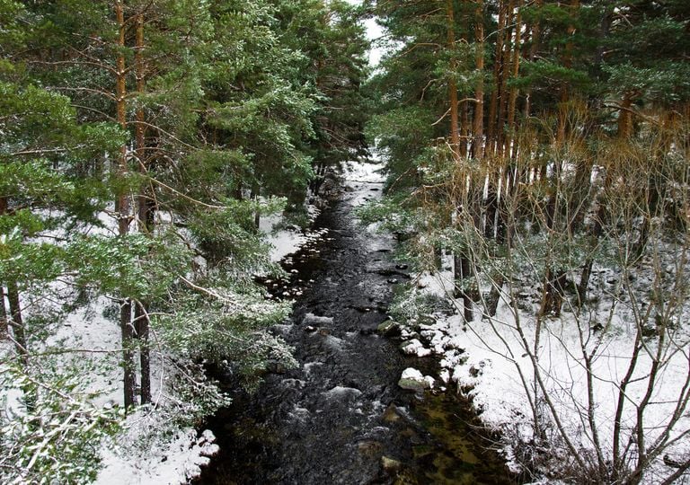 El antiguo refranero espa&ntilde;ol hace sus pron&oacute;sticos para 2026 a partir del tiempo de estos d&iacute;as