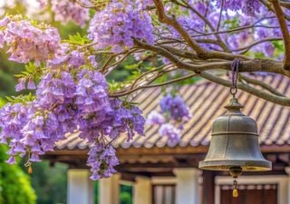 El árbol de crecimiento rápido que convierte cualquier jardín en un oasis, incluso en el verano que nos espera