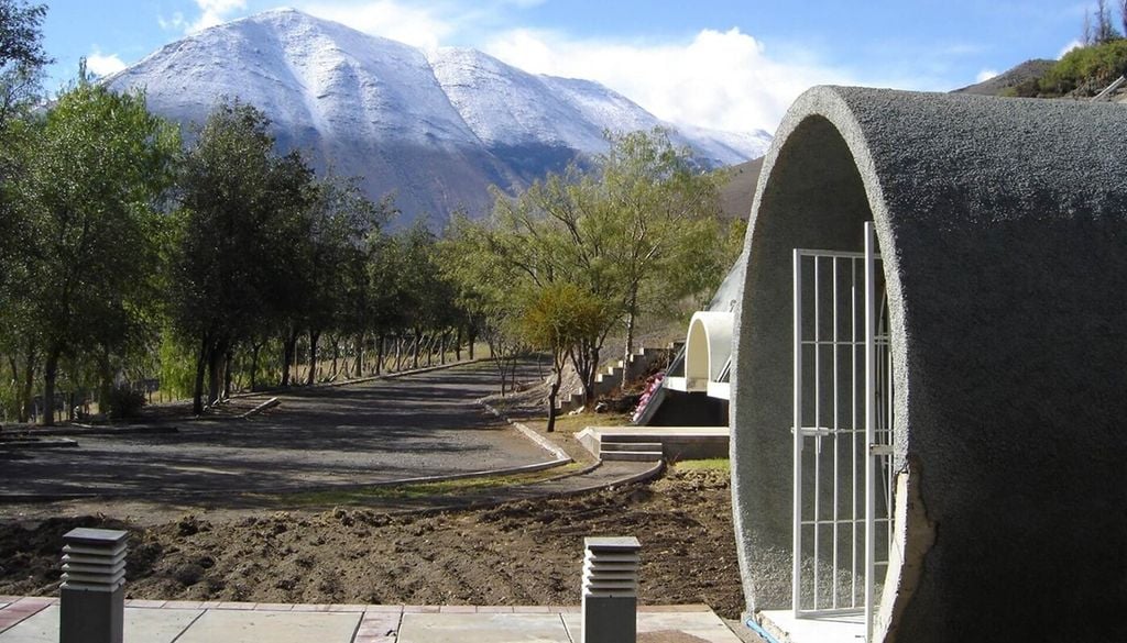 Las semillas almacenadas internacionalmente podrían recuperarse en caso de daños o pérdida de las colecciones originales. Foto: Proyecto INIA Intihuasi Seed Bank, Vicuña, Moving Ecologies.