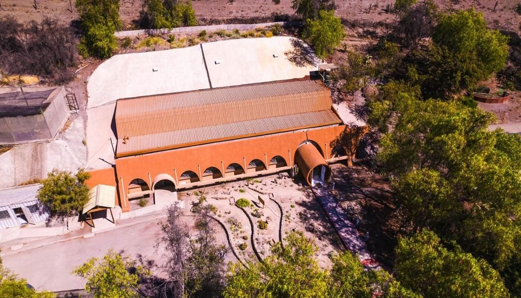 Las semillas ancestrales conservan características genéticas que podrían ayudar a enfrentar sequías y eventos climáticos extremos. Foto: Proyecto INIA Intihuasi Seed Bank, Vicuña, Moving Ecologies.