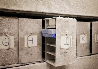 El Arca del Popó de Zúrich: salvando las bacterias que la vida moderna amenaza con borrar