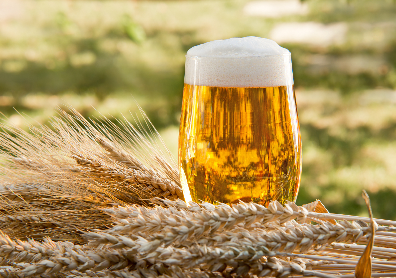 A nivel mundial, el mercado cervecero se estima en más de 680 mil millones de dólares.
