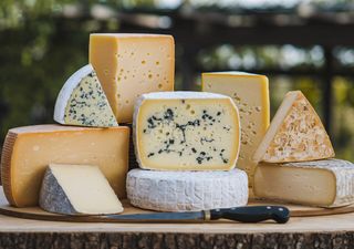 El arte del queso Chileno: regiones, sabores y tradición