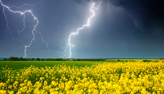 "El asma por tormenta": las primeras gotas de lluvia son la peor pesadilla de los al&eacute;rgicos esta primavera