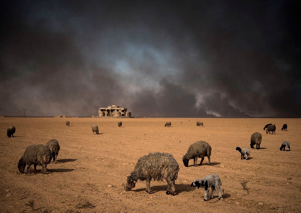 Mosul petroleo Mosul petroleo