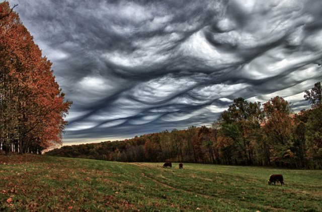 El Atlas Internacional De Nubes