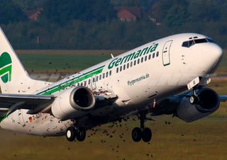 El avión que chocó contra un pez