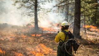 El aviso de la OMM sobre los incendios forestales: "el cambio clim&aacute;tico aumenta el riesgo, pero no es el &uacute;nico culpable