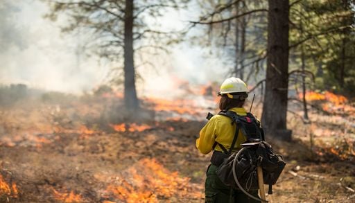 El aviso de la OMM sobre los incendios forestales: "el cambio clim&aacute;tico aumenta el riesgo, pero no es el &uacute;nico culpable