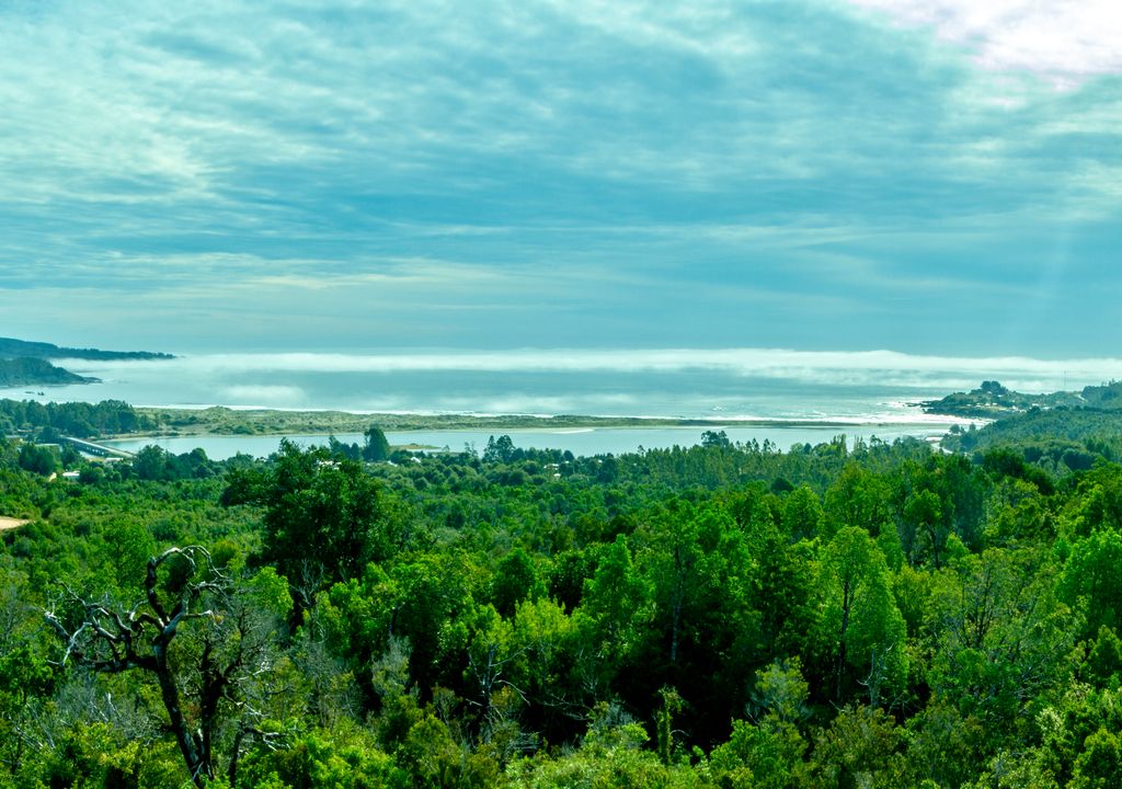 Vistas del Parque Nacional Alerce Costero.