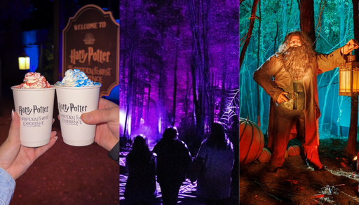 El Bosque Prohibido de Harry Potter llega a Santiago: revisa aqu&iacute; las fechas, precios y ubicaci&oacute;n