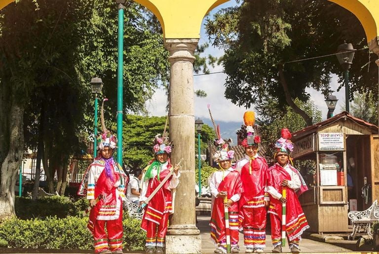 El café de altura y senderos boscosos de Xico para una escapada veraniega