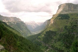 El calentamiento global desplaza tres metros la flora europea de alta montaña 
