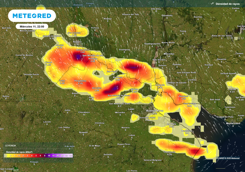 Densidad de rayos para la noche de mañana miércoles 11 de febrero según el modelo ECMWF.
