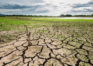 El calor no nos abandona durante enero