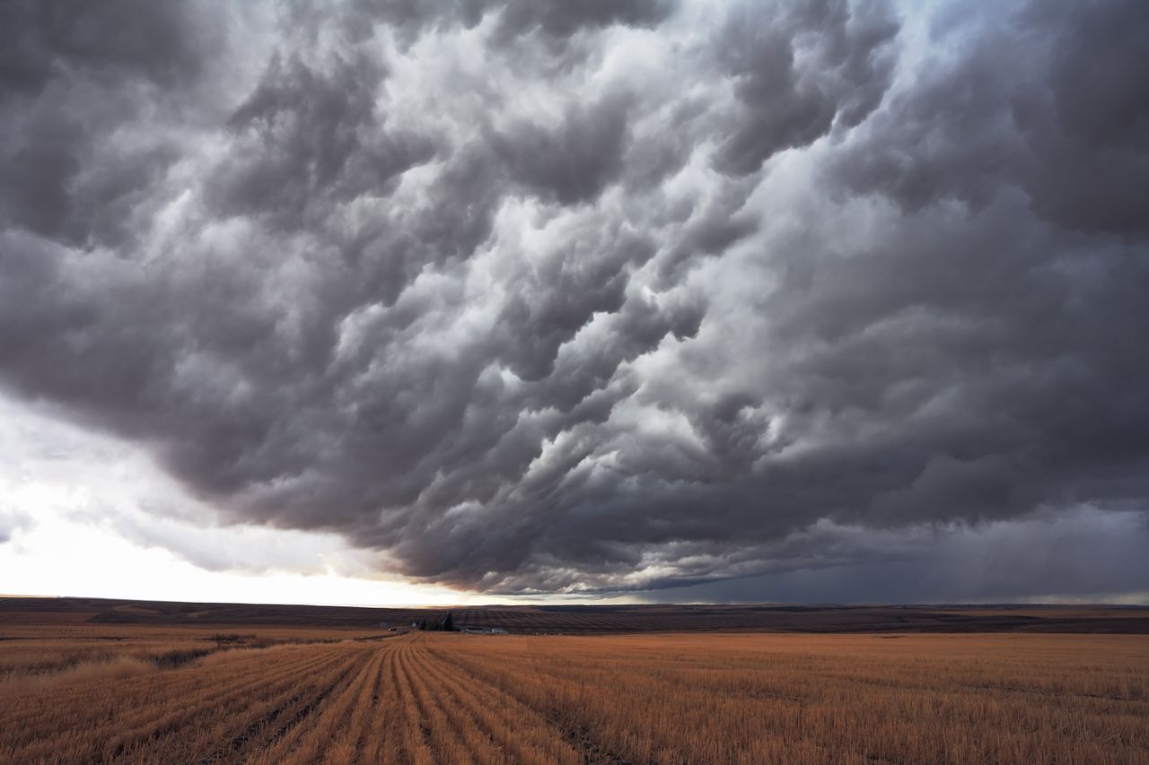 Las tormentas aparecerán con frecuencia en puntos de la mitad norte, especialmente en las cordilleras y zonas llanas próximas.