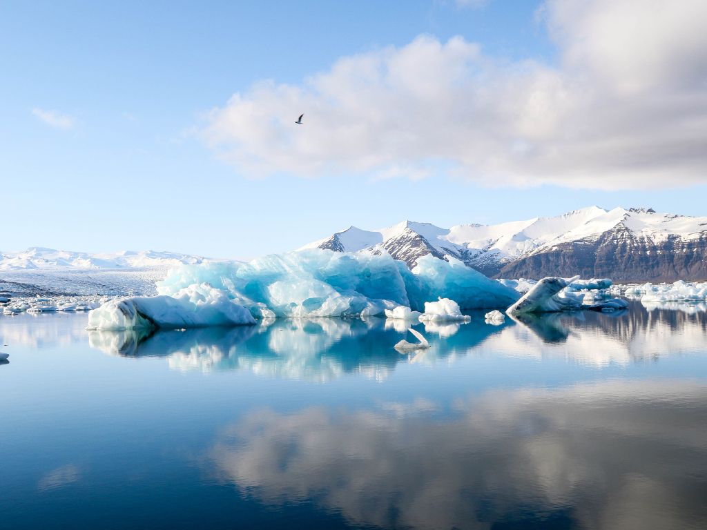 Datos proxy. Testigos de hielo, anillos de arboles, corales, sedimentos