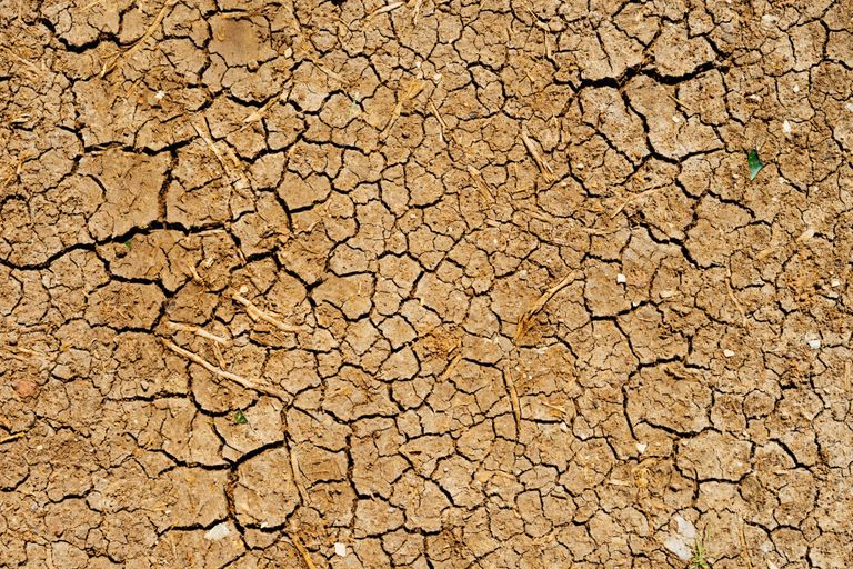 Folgen des Klimawandels Folgen des Klimawandels