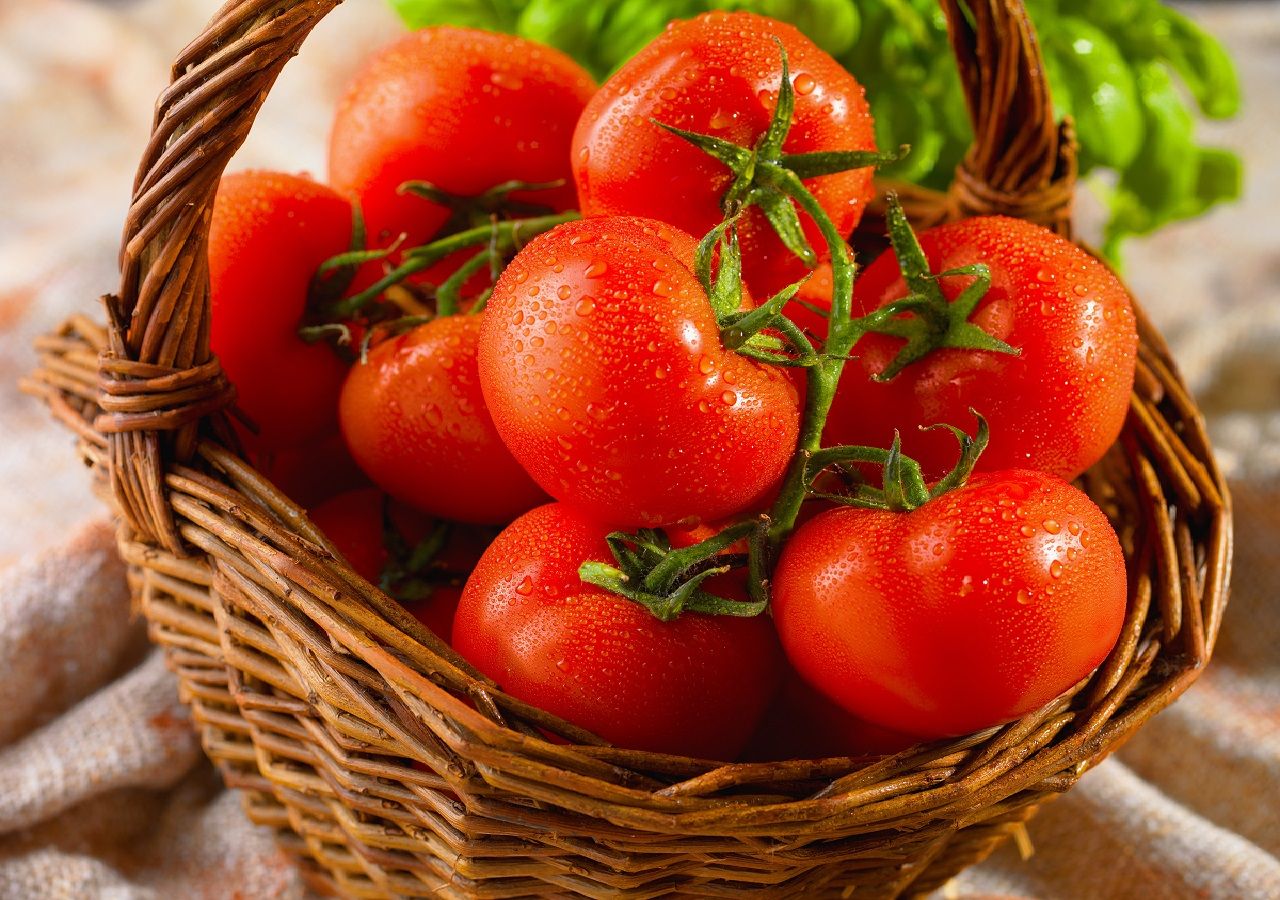 El tomate es una fruta que se cultiva en todo el mundo que se consume de múltiples maneras. Hoy en día existen multitud de variedades, cultivadas durante todo el año, además, es un alimento rico en fibra y bajo en calorías que aporta vitaminas y minerales.