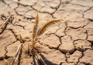 El cambio climático desata un circulo vicioso en el clima de América Latina y el Caribe