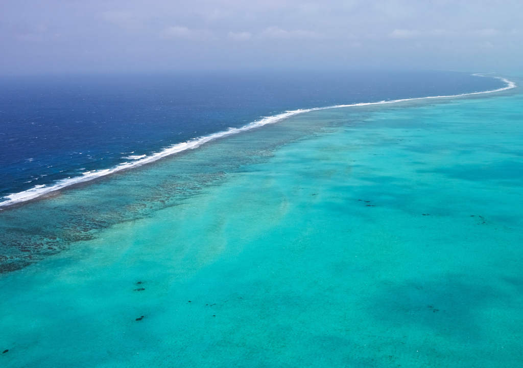 Vista aérea de un arrecife en el Caribe: mar abierto al exterior, olas rompiendo en blanco sobre la barrera coralina y luego calma.