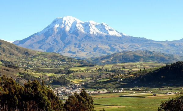 El Cambio Climático Empuja Las Plantas Tropicales Hacia Las Cumbres