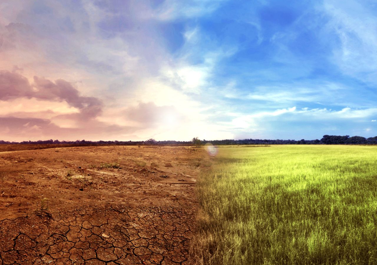 Gran parte de Argentina, Chile y Uruguay están sufriendo de los efectos combinados de una sequía histórica y episodios de altas temperaturas que magnifican las pérdidas.