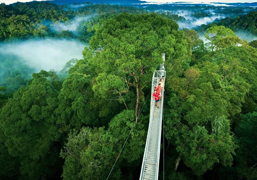 Bosque Nuboso de Monteverde