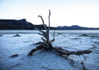 ¿Y si el cambio climático fuera irreversible?