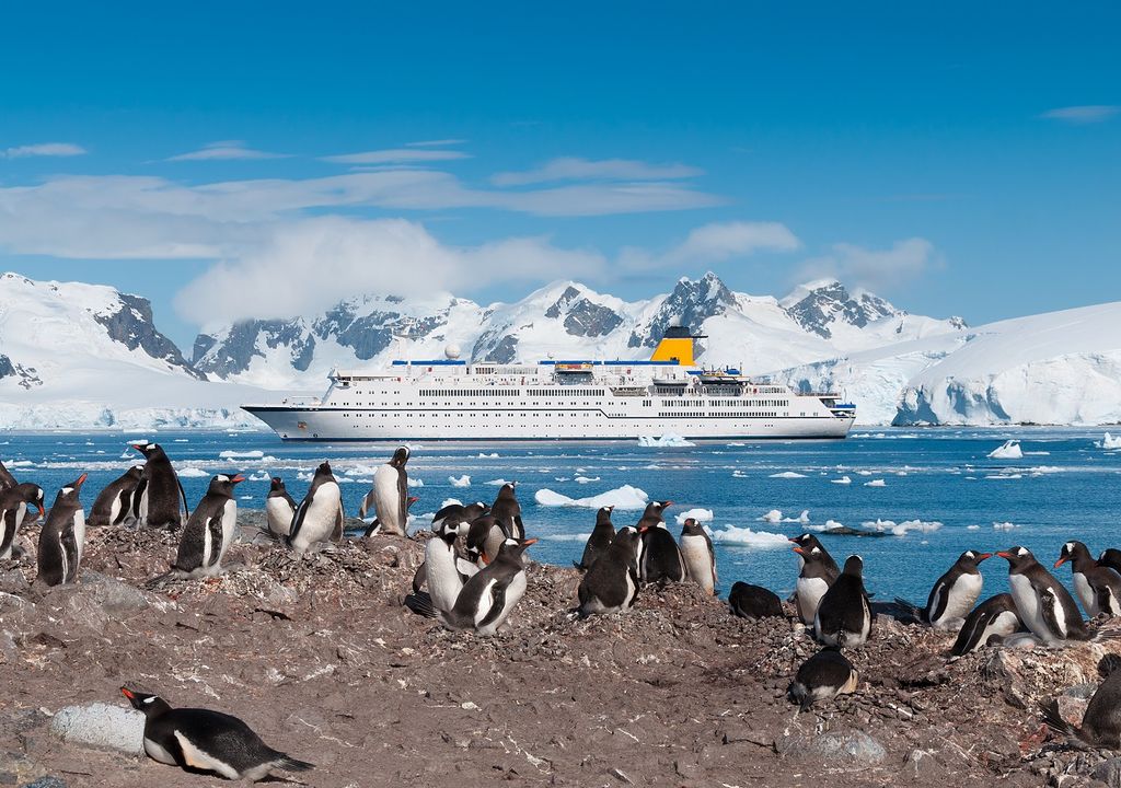 Crucero por los mares antárticos; pingüinos Crucero por los mares antárticos; pingüinos