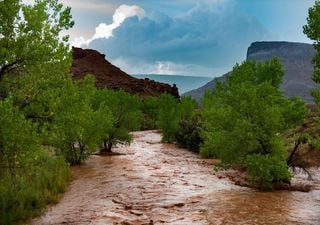 ¿El cambio climático podría estar detrás del reverdecimiento en algunas zonas del desierto del Sahara? 