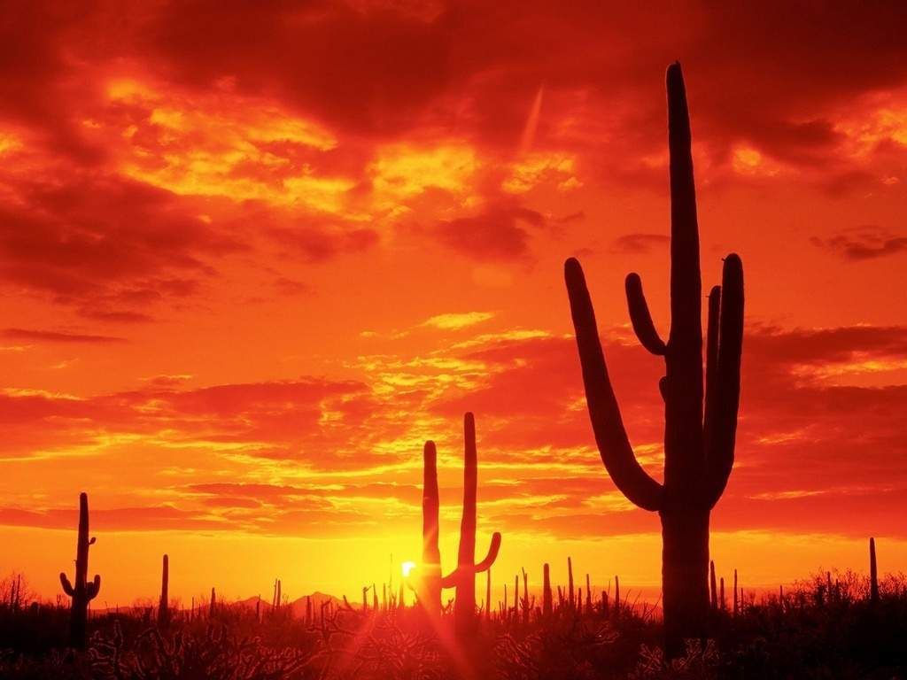 La erosión de la tierra es un fenómeno que se agravará en condiciones de cambio climático. Fotografía: EcuRed La erosión de la tierra es un fenómeno que se agravará en condiciones de cambio climático. Fotografía: EcuRed