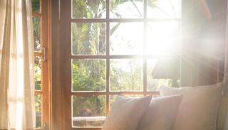 M&aacute;s luz y cambios de temperatura: as&iacute; puede influir la primavera en el sue&ntilde;o, el &aacute;nimo y la salud mental