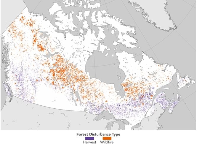 El Cambio Forestal En Canadá: Bosques, Incendios Y Cosechas