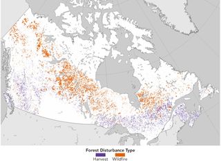 El cambio forestal en Canadá: bosques, incendios y cosechas