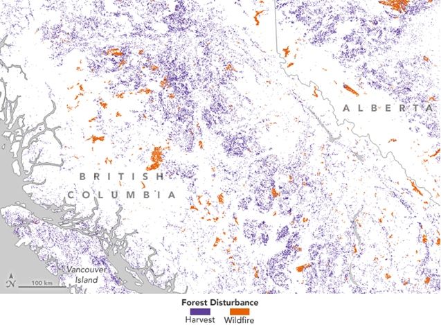 El Cambio Forestal En Canadá: Bosques, Incendios Y Cosechas El Cambio Forestal En Canadá: Bosques, Incendios Y Cosechas