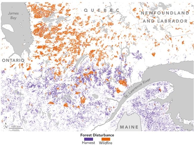 El Cambio Forestal En Canadá: Bosques, Incendios Y Cosechas El Cambio Forestal En Canadá: Bosques, Incendios Y Cosechas
