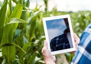 ¿Qué supone el cuaderno digital para la agricultura? Te contamos las ventajas y desventajas de esta herramienta