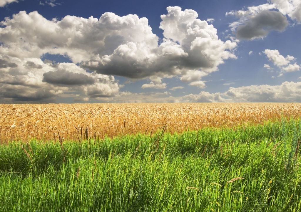 Lluvias El Niño Argentina tiempo clima pronóstico agro campo