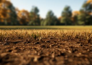 El campo sufre la falta de lluvias: hay zonas donde los perfiles de suelo tienen menos agua que hace un año