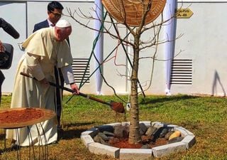 El campo y la tierra no son descartables: la herencia ambiental del Papa Francisco